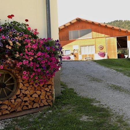 Apartament Stapflhof Bad Aussee Zewnętrze zdjęcie