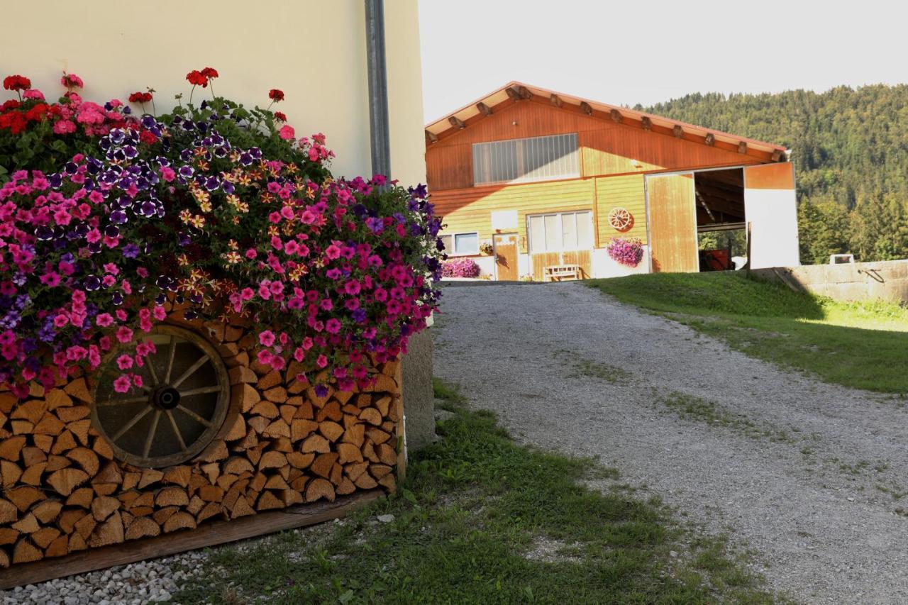 Apartament Stapflhof Bad Aussee Zewnętrze zdjęcie